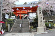紀三井寺と桜