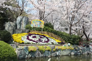 神戸市立王子動物園と桜