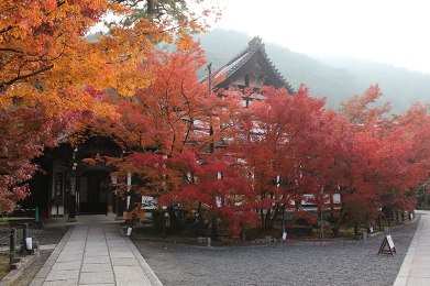 永観堂 禅林寺の紅葉