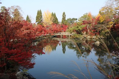 永観堂 禅林寺の紅葉